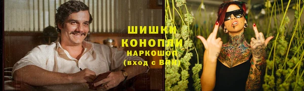 прущие крисы Ельня