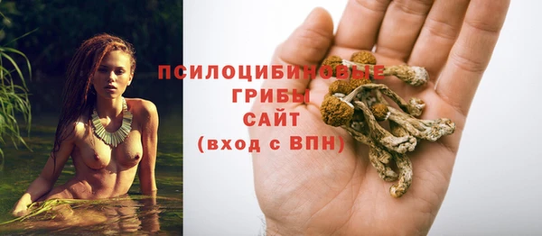 гашиш Елизово