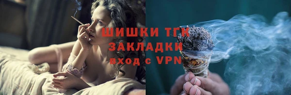 прущие крисы Ельня
