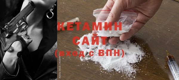 прущие крисы Ельня