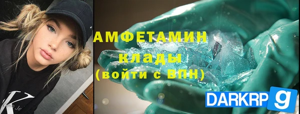прущие крисы Ельня