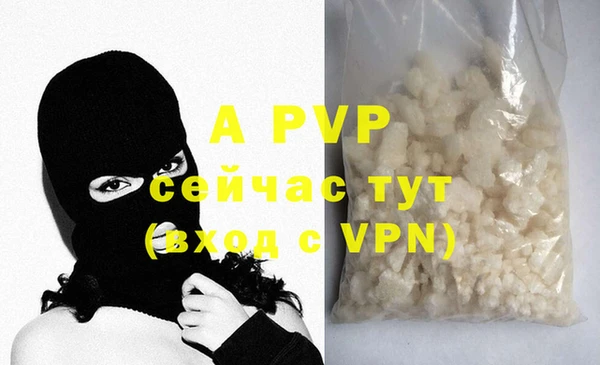 прущие крисы Ельня