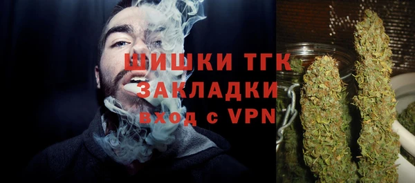 прущие крисы Ельня