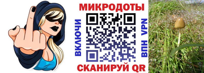 Галлюциногенные грибы Magic Shrooms  Калачинск 